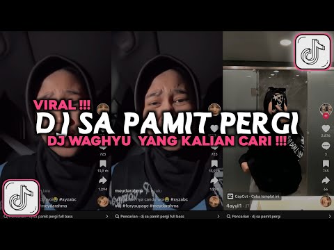 DJ SA PAMIT PERGI DJ WAGHYU MEYDARAHMA VIRAL TIKTOK 2024