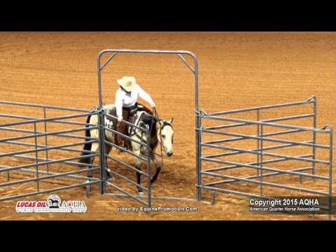 Jean Haller Am Ranch Riding AQHA World Show 2015