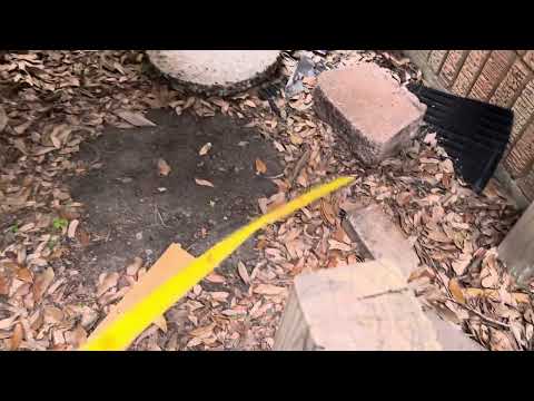 Videos from BêTong Foundation Repair LLC