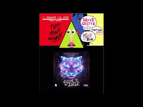 Turn For Shot Me Down In The Jungle