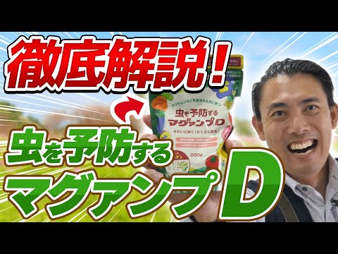 Geomys pinetisについて詳しく解説