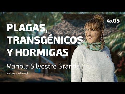 SB 4x05 - Plagas, transgénicos y hormigas: Mariola Silvestre Granda.