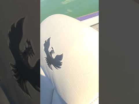 How to operate the livewells in you @phoenixboats697