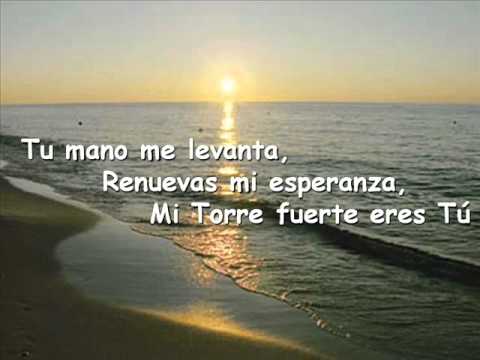 Mi Torre-Fuerte.wmv