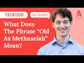 What Does The Phrase Old As Methuselah Mean