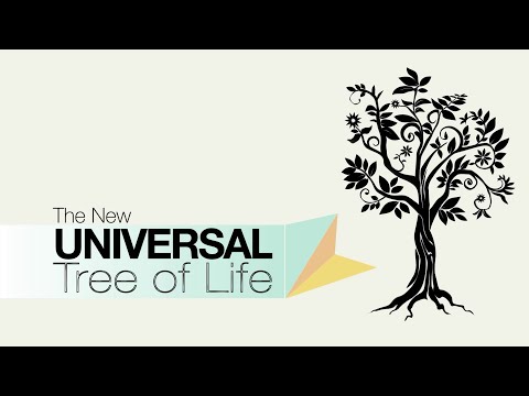 The New Universal Tree of Life