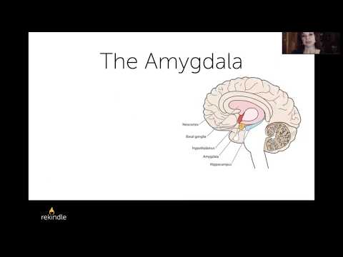 Emotional Freedom Technique: The Acepromazine For You