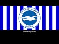 Brighton & Hove Albion Anthem (Subtitled)