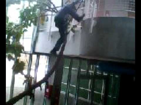 klettern in der albert-einstein-realschule Wiblingen [ by Lendaa' ]