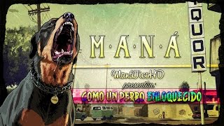 Maná | &quot;Como un perro enloquecido&quot; | Cuando los ángeles lloran | HD