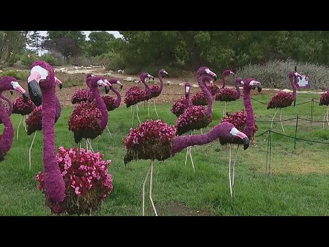 New exhibits at the South Coast Botanic Garden