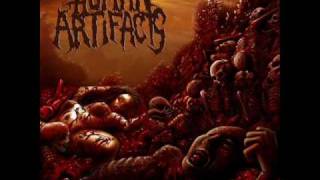 Human Artifacts - The Principles Of Sickness