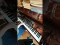 La Rose Tatouée Piano Romya F3965