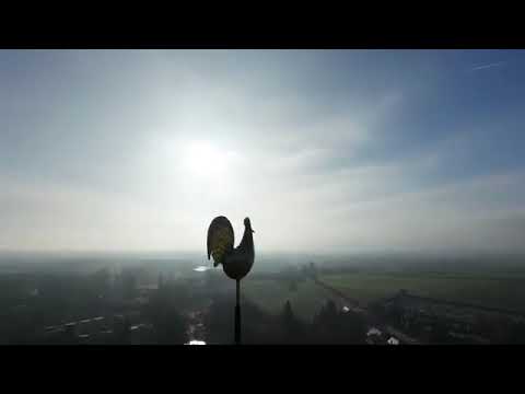 Rutte de Torenhaan van het torentje Waait met alle Winden mee