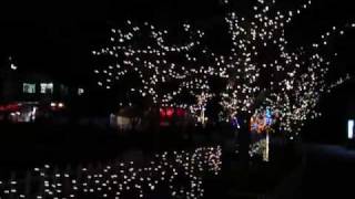 preview picture of video 'Goro@Welsh corgi 20081206 Illuminations'