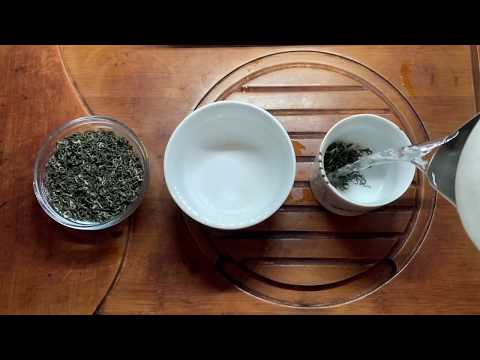 Bi Luo Chun - Spring Curly Snail