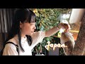 animal cafés in kamakura; owl + shiba inu | JAPAN VLOG no. 4