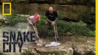 Time to Release the Mamba | Snake City