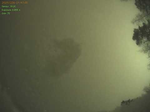 Muurame Allsky Timelapse - 20251229