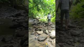 preview picture of video 'Trail ...N kata waterfall muppoochara bilaichori'