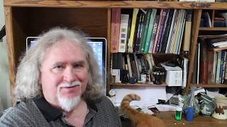 Hyperthyroid Cats and Vidalta Issues