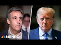 Michael Cohen came off 'credible' and 'human': Trump's hush money trial continues