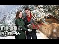 Preview - Northern Lights of Christmas - Hallmark Movies & Mysteries