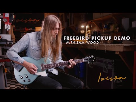 Ivison Pickups - Freebird Set