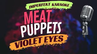 Meat Puppets karaoke - Violet Eyes