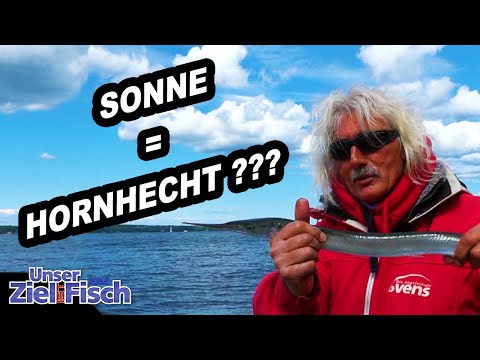 Garfish Season Baltic Sea - Easy Catch - Our goal is fish with Jörg Ovens - The Fishing School