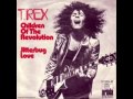 Marc Bolan - The Singles Collection: T. Rex 