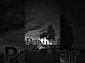 Sad Shayari Status Itna Chahne Ke Baad Pathar Bhi Apne Ho Jaate Hain Status Shayaristatus