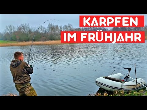 Erfolgreiches Angeln auf Karpfen im Frühjahr. Das fängt immer!