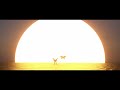SLANDER Synmata Never Give Up On You With Elle Vee Official Visualizer