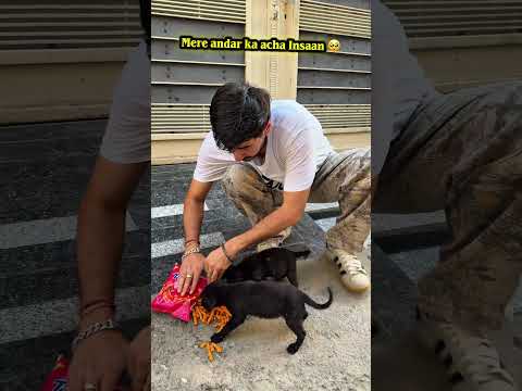 Dog lovers will hate me 🥺 #funny #viral #comedy #1million #love #funnymoment #doglove #fyp #trend