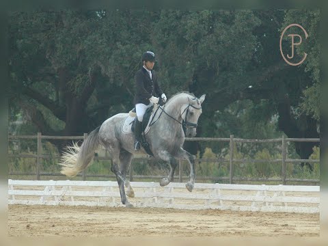 Eloi Morgado & Lizarran PSL -5Y FEI  - Companhia das Lezírias 20/09/2020