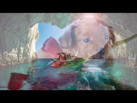 ''Andrés Cepeda'' Enfermedad De Ti''