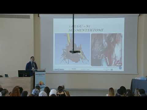 Göğüs Cerrahisi Eğitimi - Asistanbul 2024