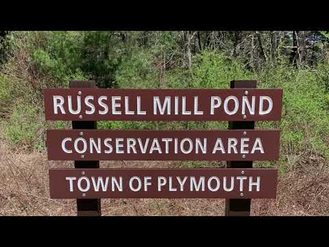 Russell Mill Pond, Plymouth, Massachusetts
