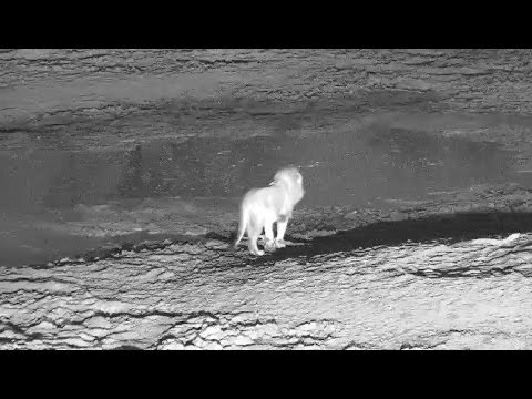 Aug. 29, 2015PM Djuma Dam Cam