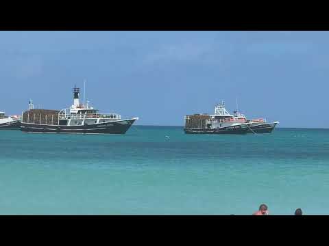 Big Corn Island Lobster Season - Boats Dropping Traps!