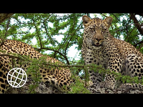 Tanzania unforgettable