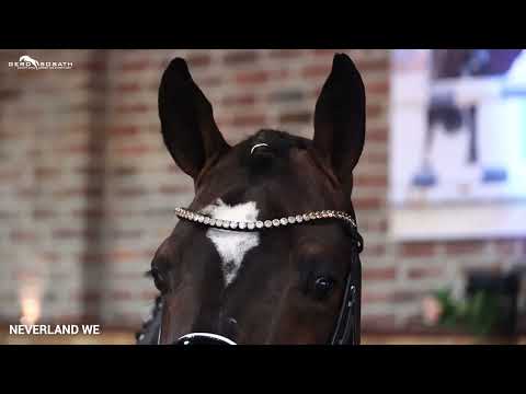 Neverland WE *2016 by FS Numero Uno x Champus K | Sosath Stallion Show 2022