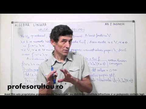 34   Valori si vectori proprii   partea 1 - profesorultau.ro