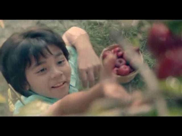 ثلاجة هاير بفريزر علوي 15,7 قدم – سلفر صنع تايلندي