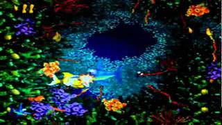Capa de Floodlit Fish