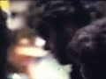 GEORGE MICHAEL ROUND HERE IN NYC (1985)