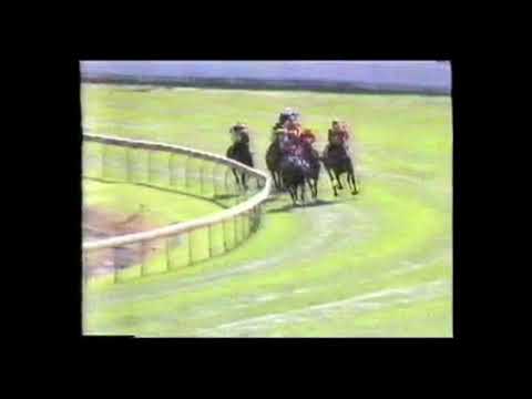 1987 Canterbury Stakes - Placid Ark