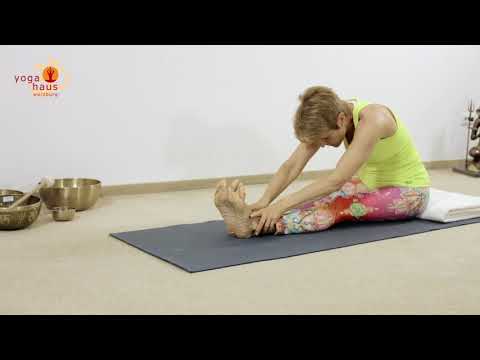 Sitzende Vorwärtsbeuge - Pashimottanasana