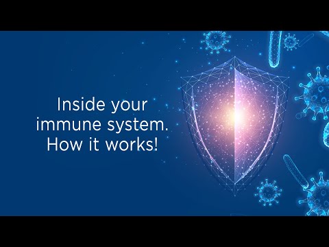 Feature Video Inside your immune system. How it works!